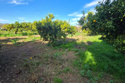 92712ed7aaef6828cb1797f9f1e97a04 - 39