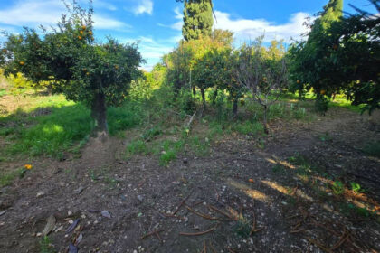 92712ed7aaef6828cb1797f9f1e97a04 - 41