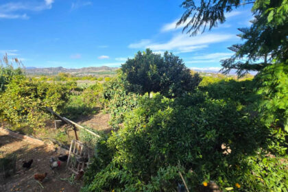 92712ed7aaef6828cb1797f9f1e97a04 - 42