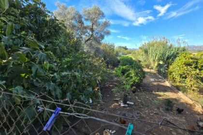 92712ed7aaef6828cb1797f9f1e97a04 - 43