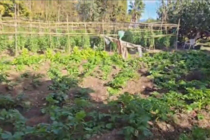 92712ed7aaef6828cb1797f9f1e97a04 - 44