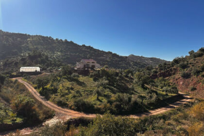 96966a0519be4ba03548c4354e1735d5 - 1