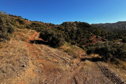 96966a0519be4ba03548c4354e1735d5 - 5