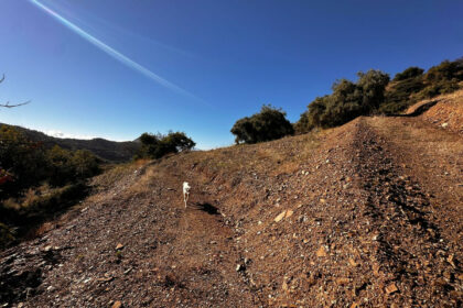 96966a0519be4ba03548c4354e1735d5 - 8