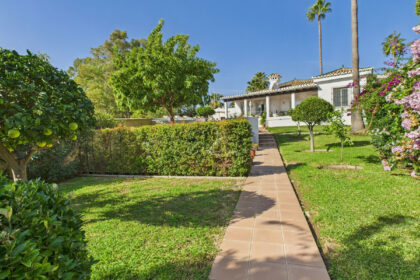 999ce8808c4739da7db19dd35543a813 - 31