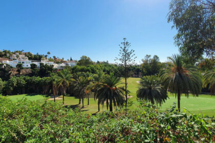 99f0d220b1cc3d007a31f84d68296d70 - 40