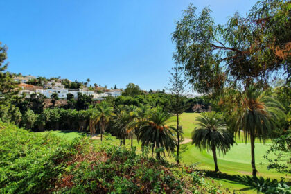 99f0d220b1cc3d007a31f84d68296d70 - 41