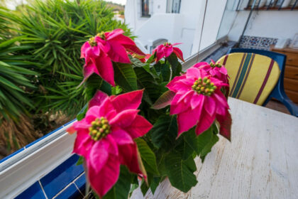 99fdefe5da240457eeebeb4f295b591a - 13