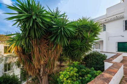 99fdefe5da240457eeebeb4f295b591a - 22