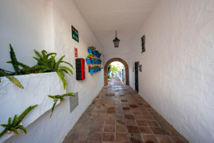 99fdefe5da240457eeebeb4f295b591a - 29