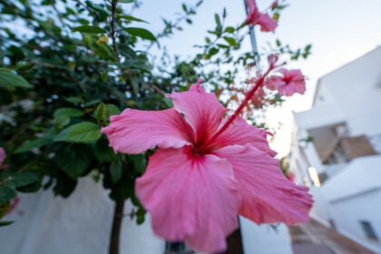 99fdefe5da240457eeebeb4f295b591a - 44