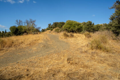 9b5a4f081313258b9c17d05706f676e2 - 12