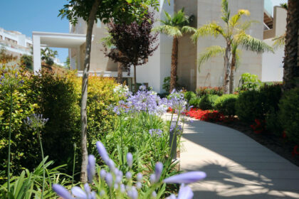 9c7e38c804fc7815e24b2b2cac0d7fca - 31