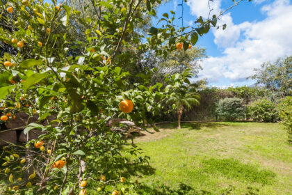 a044ca6e9e43e2f7532f671205e842f4 - 25