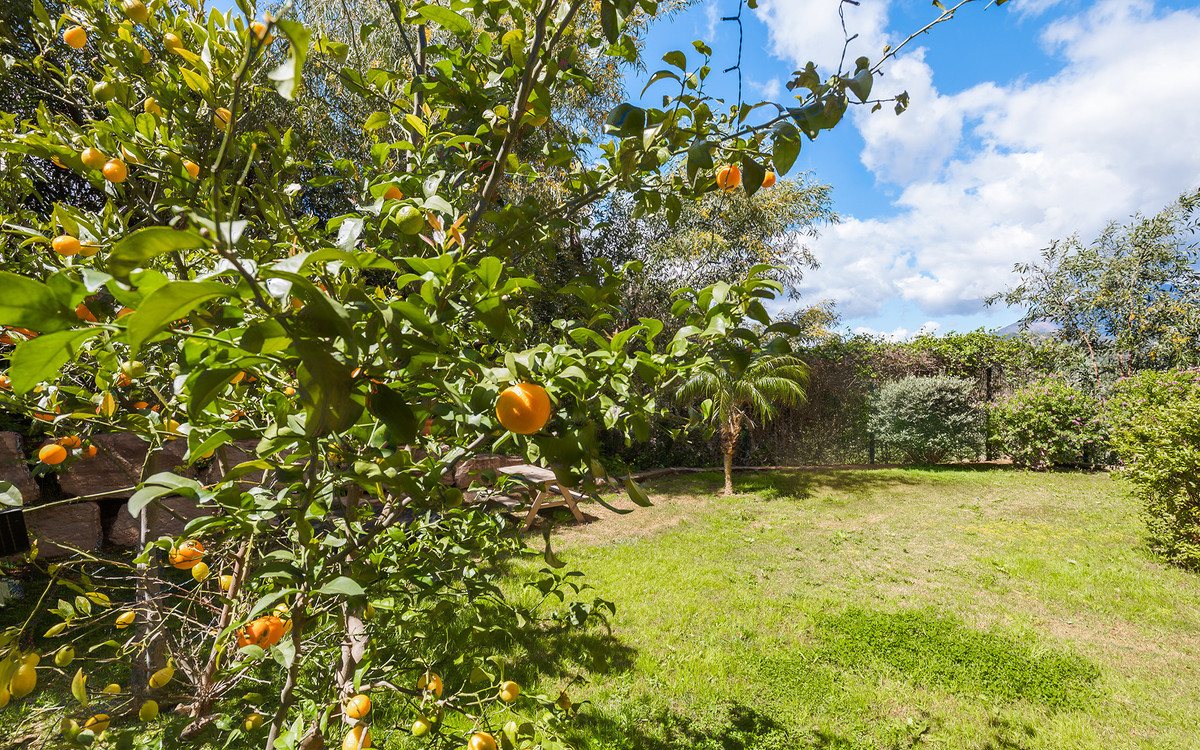 a044ca6e9e43e2f7532f671205e842f4 - 25