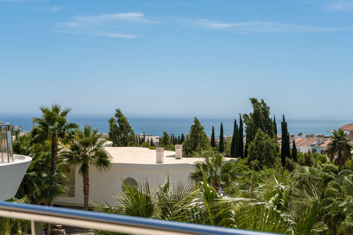 a3c849ddbb1626c249a62de730cd152d - 29