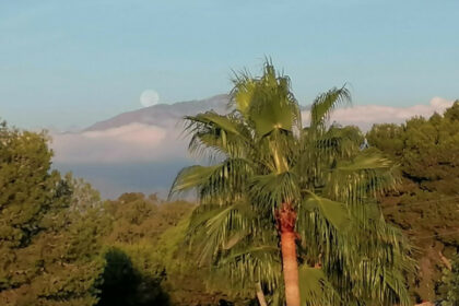 a5ac7c7d56fabe5785fc59810e4fcf20 - 18