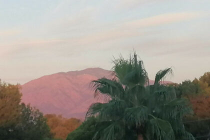 a5ac7c7d56fabe5785fc59810e4fcf20 - 20