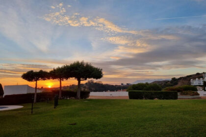 a6831da71eba623a2c5df810b784a546 - 21