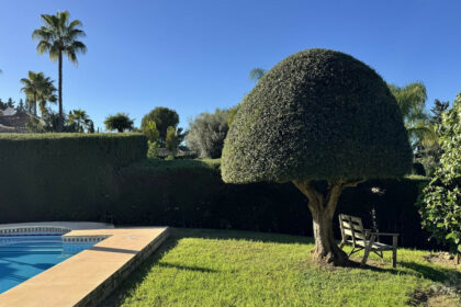 a74836a91a743bb30a85c2e595200ad7 - 19