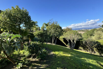 a74836a91a743bb30a85c2e595200ad7 - 26