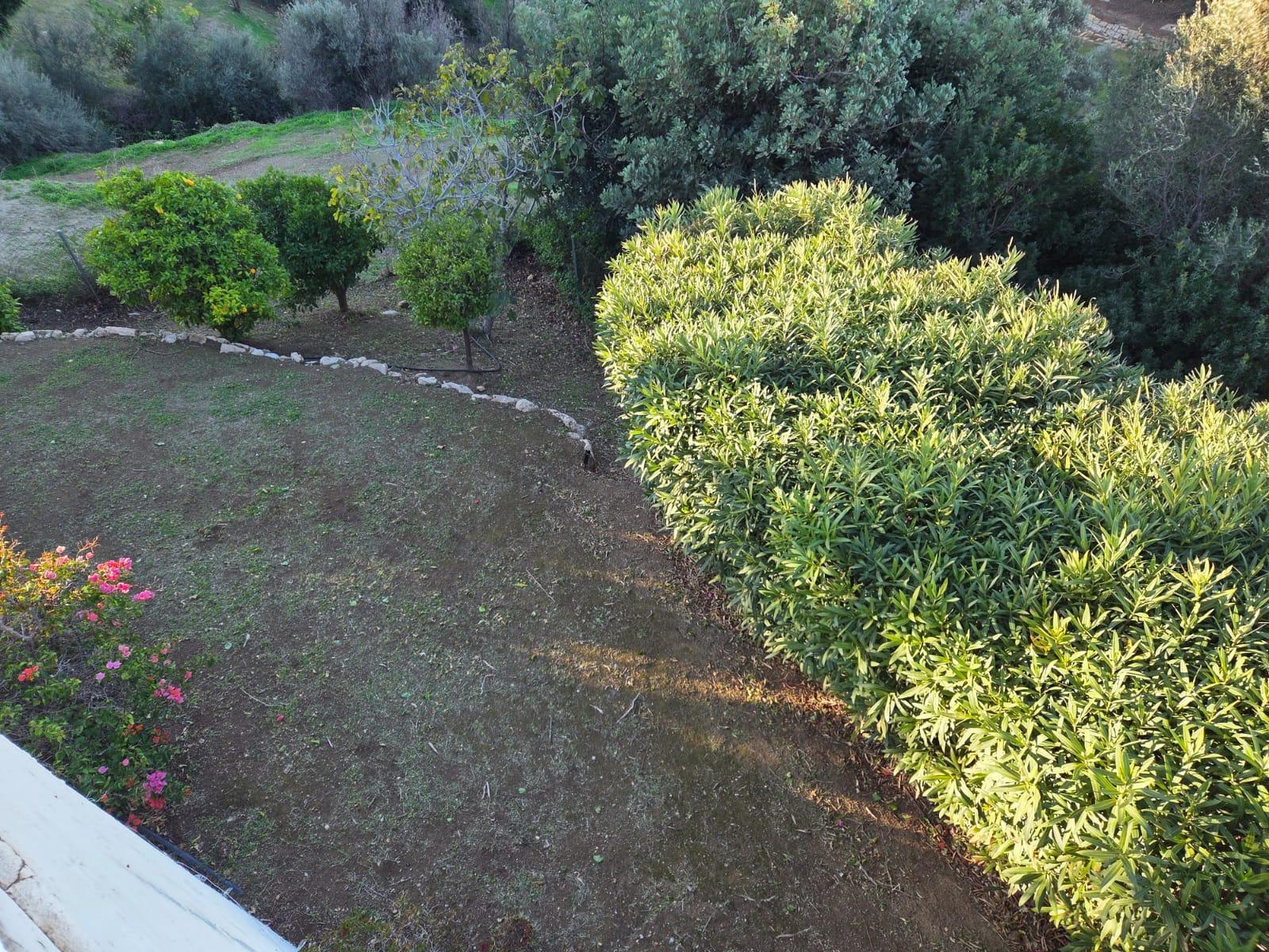 a774a50fe5b1ccf2a800662baba15fac - 11