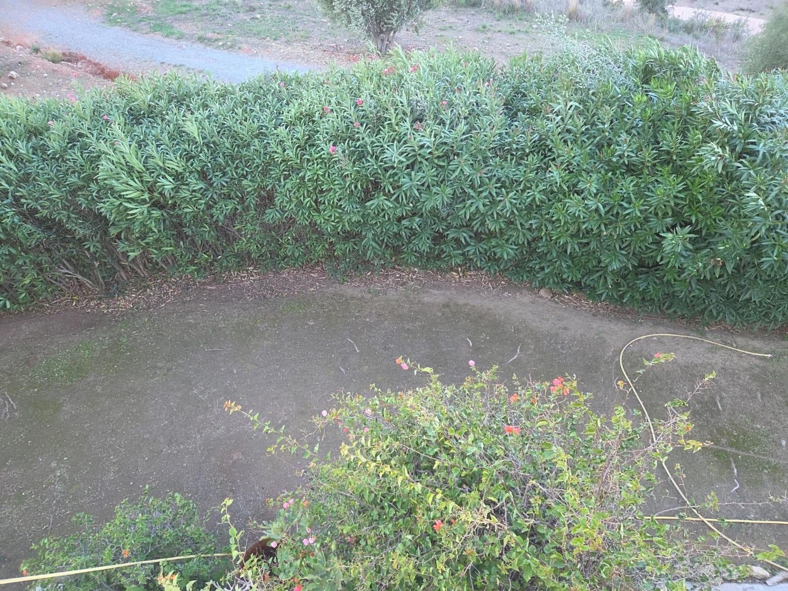 a774a50fe5b1ccf2a800662baba15fac - 12