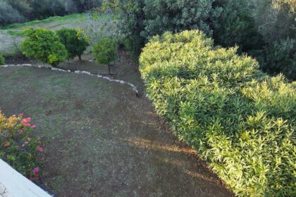 a774a50fe5b1ccf2a800662baba15fac - 14