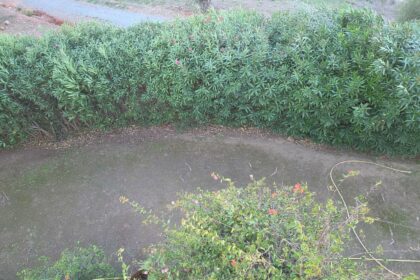 a774a50fe5b1ccf2a800662baba15fac - 15