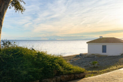 aafe6628320136bf1ab8dee46a4d6c1f - 25