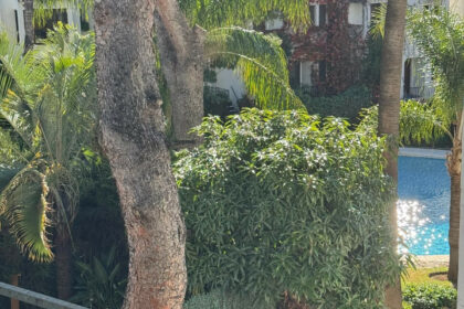 aecb022e9300646697edce5d5c462105 - 34