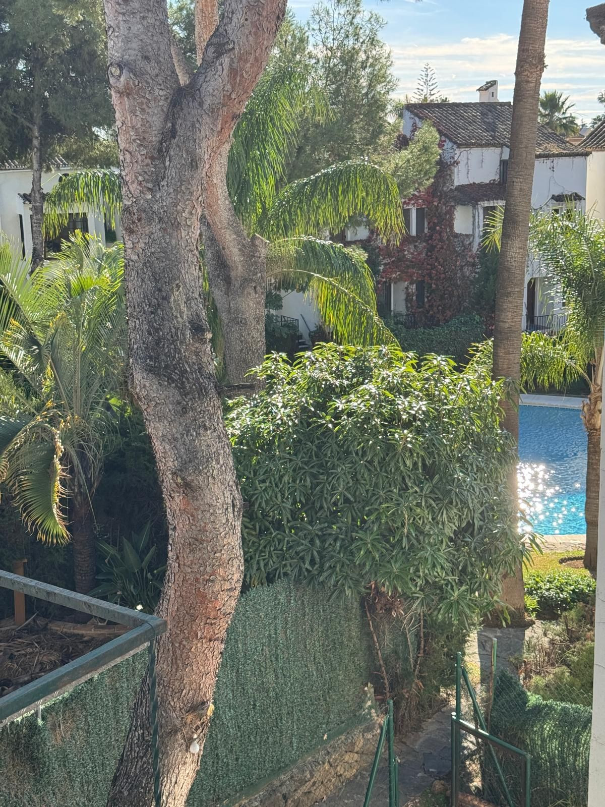 aecb022e9300646697edce5d5c462105 - 34