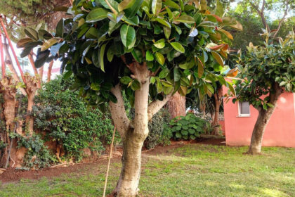 b23501f3c00f25dc87b16996eadbbc3e - 20