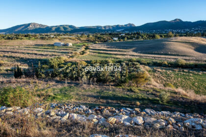 b4462de4faf6f106950c55c04e779fe7 - 45