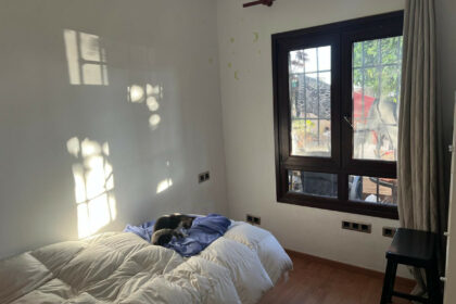 b5f9bb67c1b4bbb749cef709d6d4d856 - 19