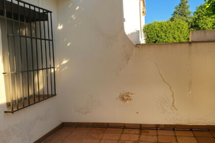 b5f9bb67c1b4bbb749cef709d6d4d856 - 24