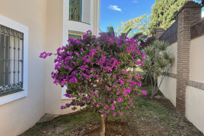 b7aa3cb401c597f5bad6b1e3681dea3f - 45