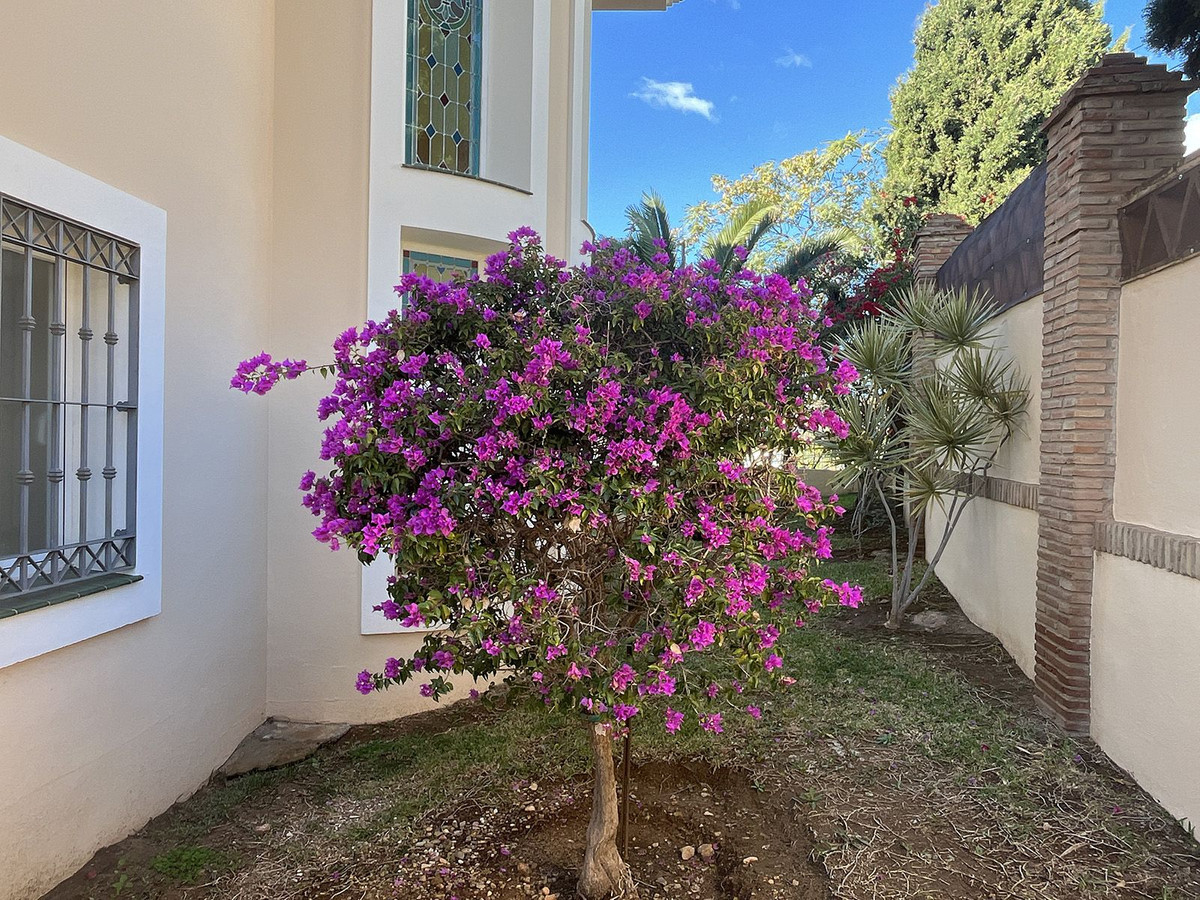 b7aa3cb401c597f5bad6b1e3681dea3f - 45