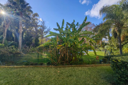 bf77a68100dbfb4981d3f7dfecb7d26c - 19