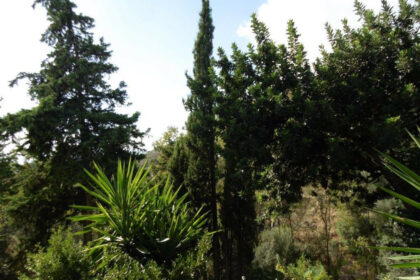 c0b536783d61ad5fbff38594af4f72ee - 13