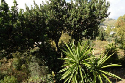 c0b536783d61ad5fbff38594af4f72ee - 16