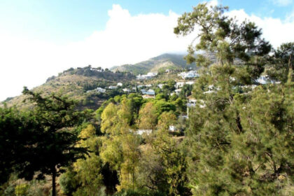 c0b536783d61ad5fbff38594af4f72ee - 36