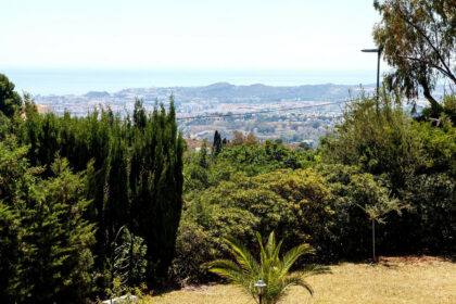 c0b536783d61ad5fbff38594af4f72ee - 40