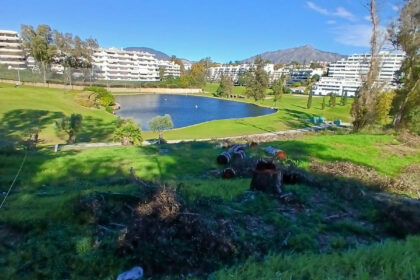 c2416e7e86cd87976b2f571f4ae77b8a - 1