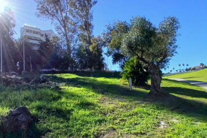 c2416e7e86cd87976b2f571f4ae77b8a - 2