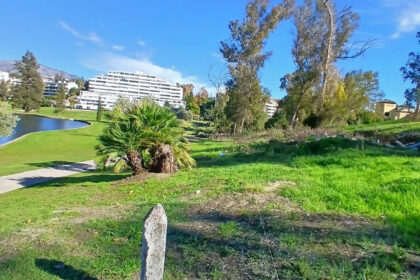 c2416e7e86cd87976b2f571f4ae77b8a - 7