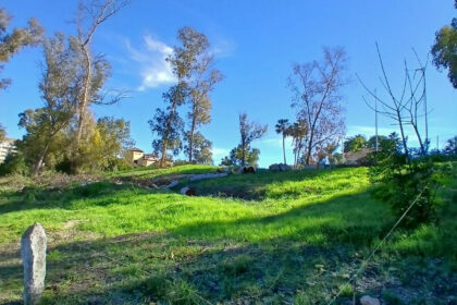 c2416e7e86cd87976b2f571f4ae77b8a - 8