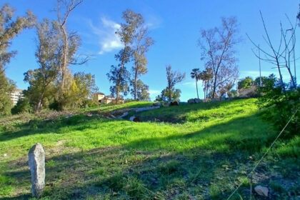 c2416e7e86cd87976b2f571f4ae77b8a - 9