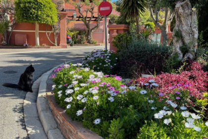 c27e746d4320af67b751d9553d3e3db6 - 34