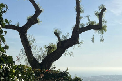 c34263f617177c2f340d36a7abadba4e - 10